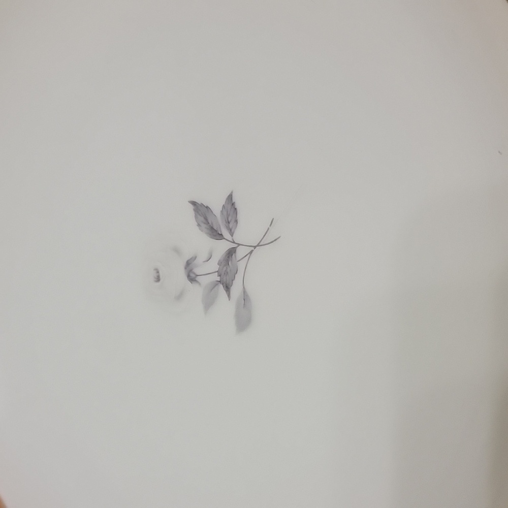 #3 Fashion Manor Solitude Set Of 4 Bread & Butter Plates 6 1/2" - Picture 2 of 5